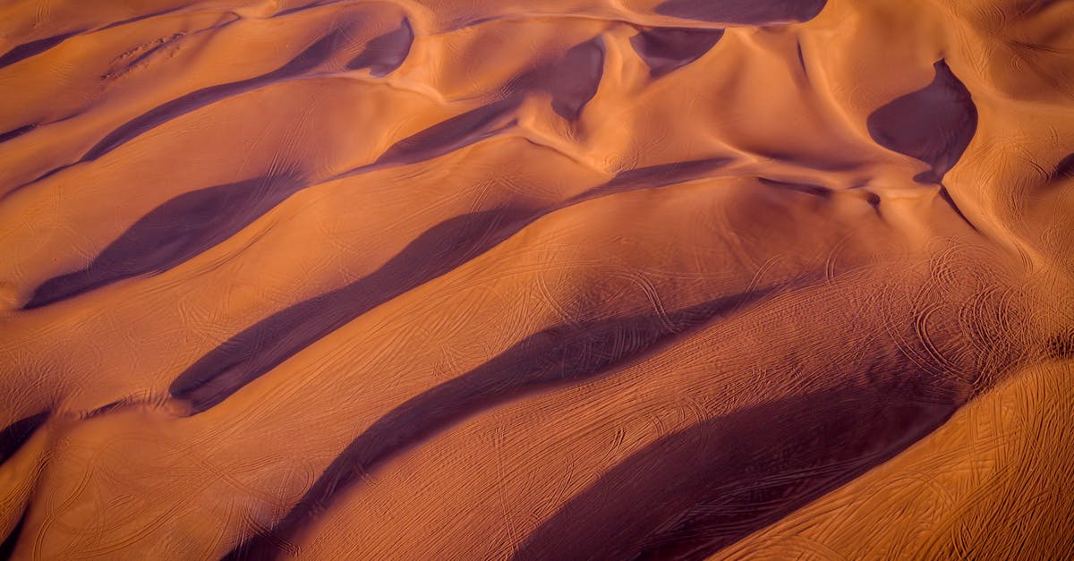 Photographie de nature et protection de l’environnement